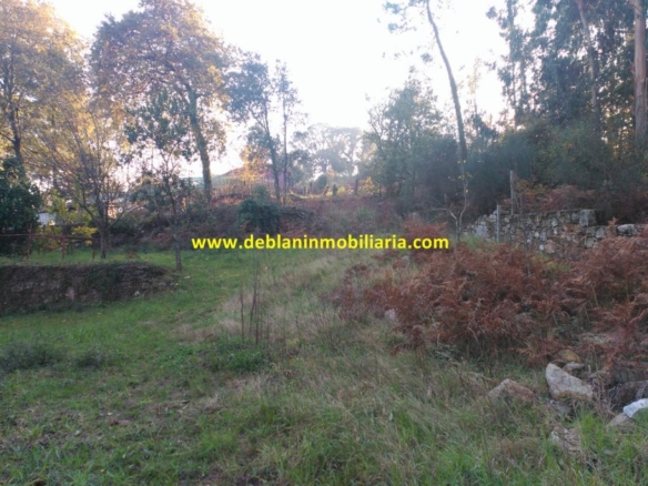 VIVIENDA UNIFAMILIAR DE 544 M2, CON PARCELA 2.076 M2