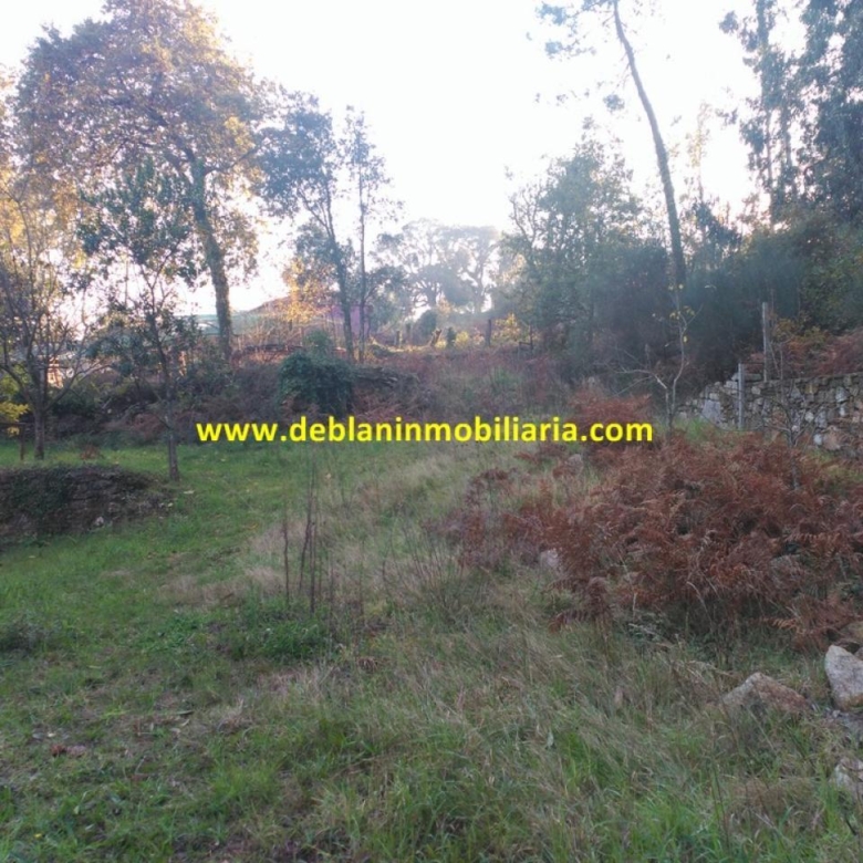 VIVIENDA UNIFAMILIAR DE 544 M2, CON PARCELA 2.076 M2