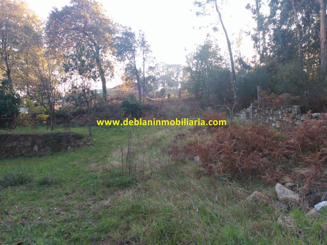 179265500342500046259_179265494716 VIVIENDA UNIFAMILIAR DE 544 M2, CON PARCELA 2.076 M2