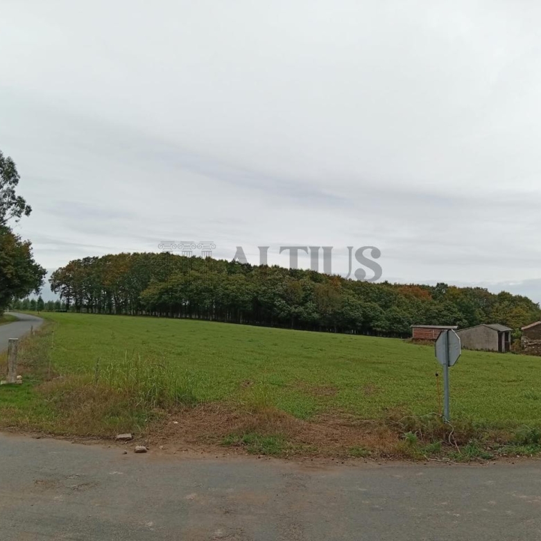 Parcela de 12.196 m² con zona edificable en O Pino