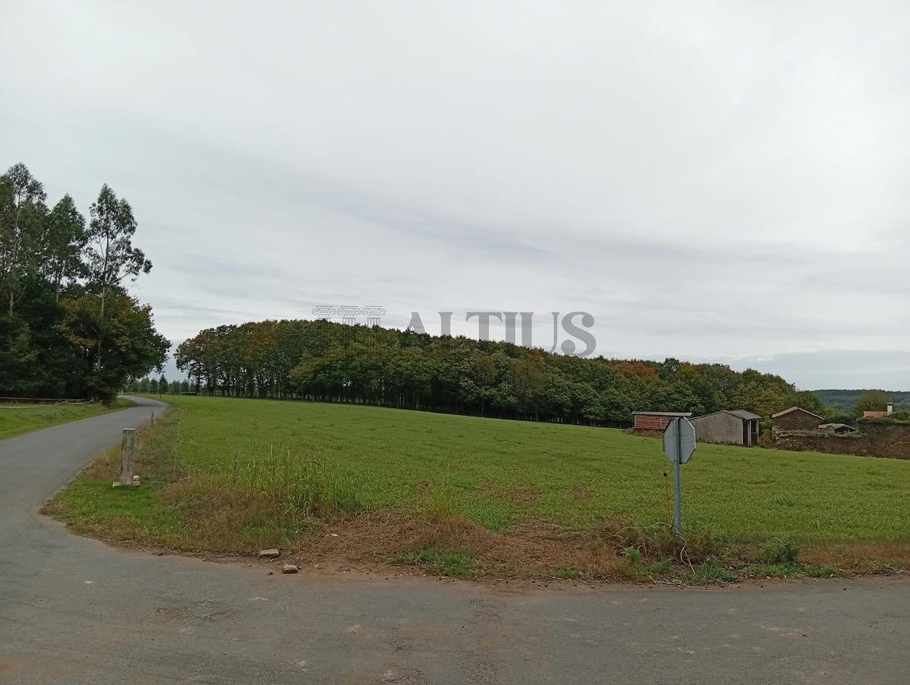 179274984012000011323_179274857076 Parcela de 12.196 m² con zona edificable en O Pino