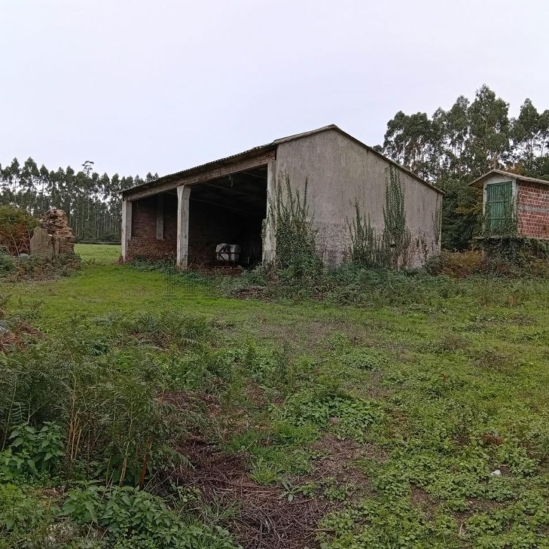 Parcela de 12.196 m² con zona edificable en O Pino