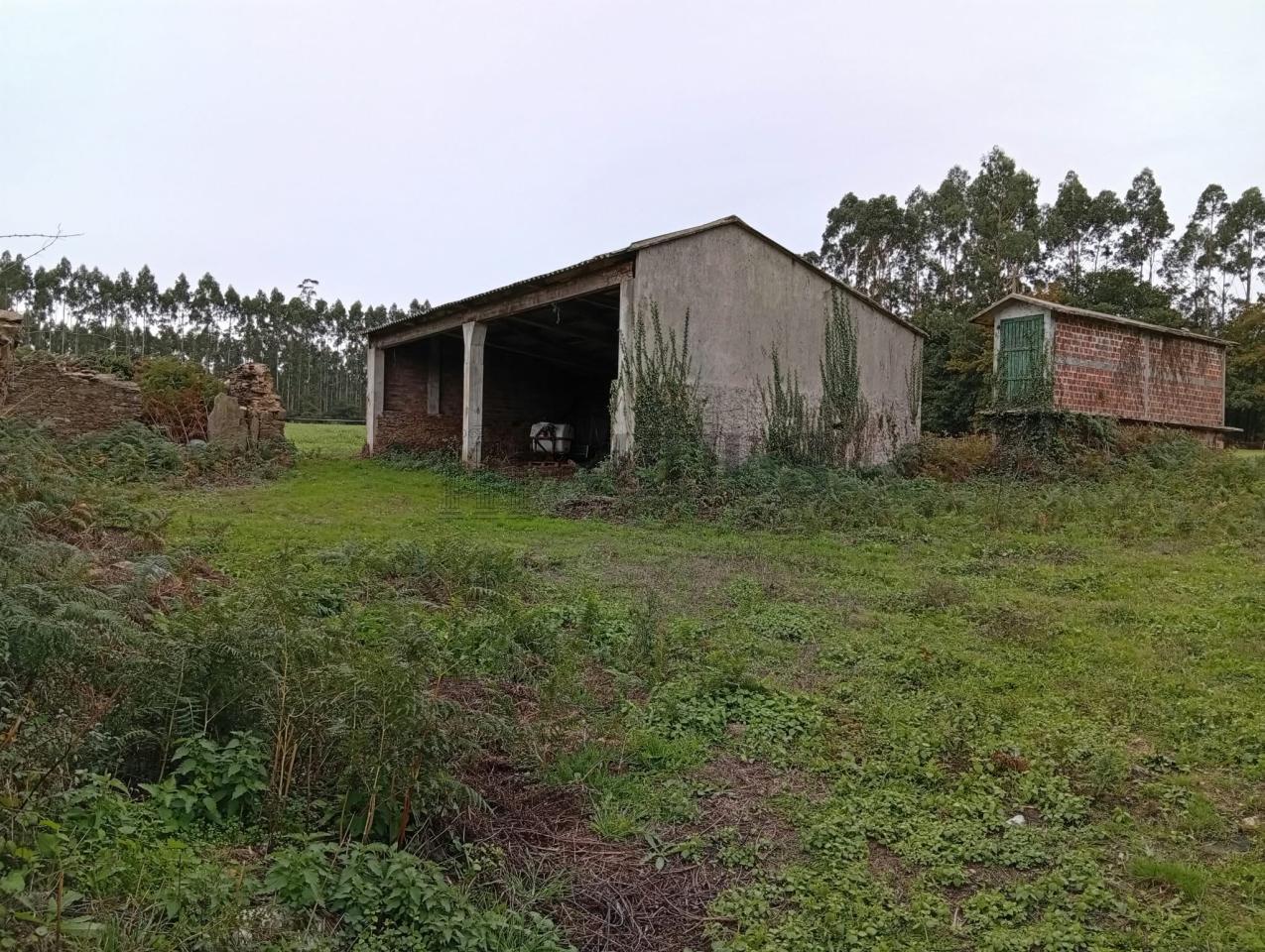 179274984042000011323_179274857183 Parcela de 12.196 m² con zona edificable en O Pino