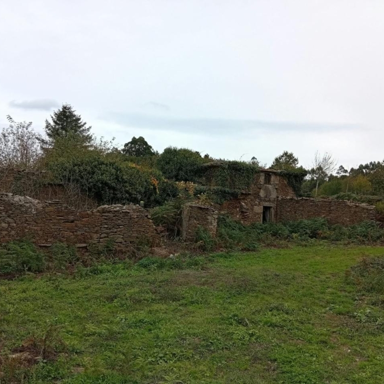 Parcela de 12.196 m² con zona edificable en O Pino