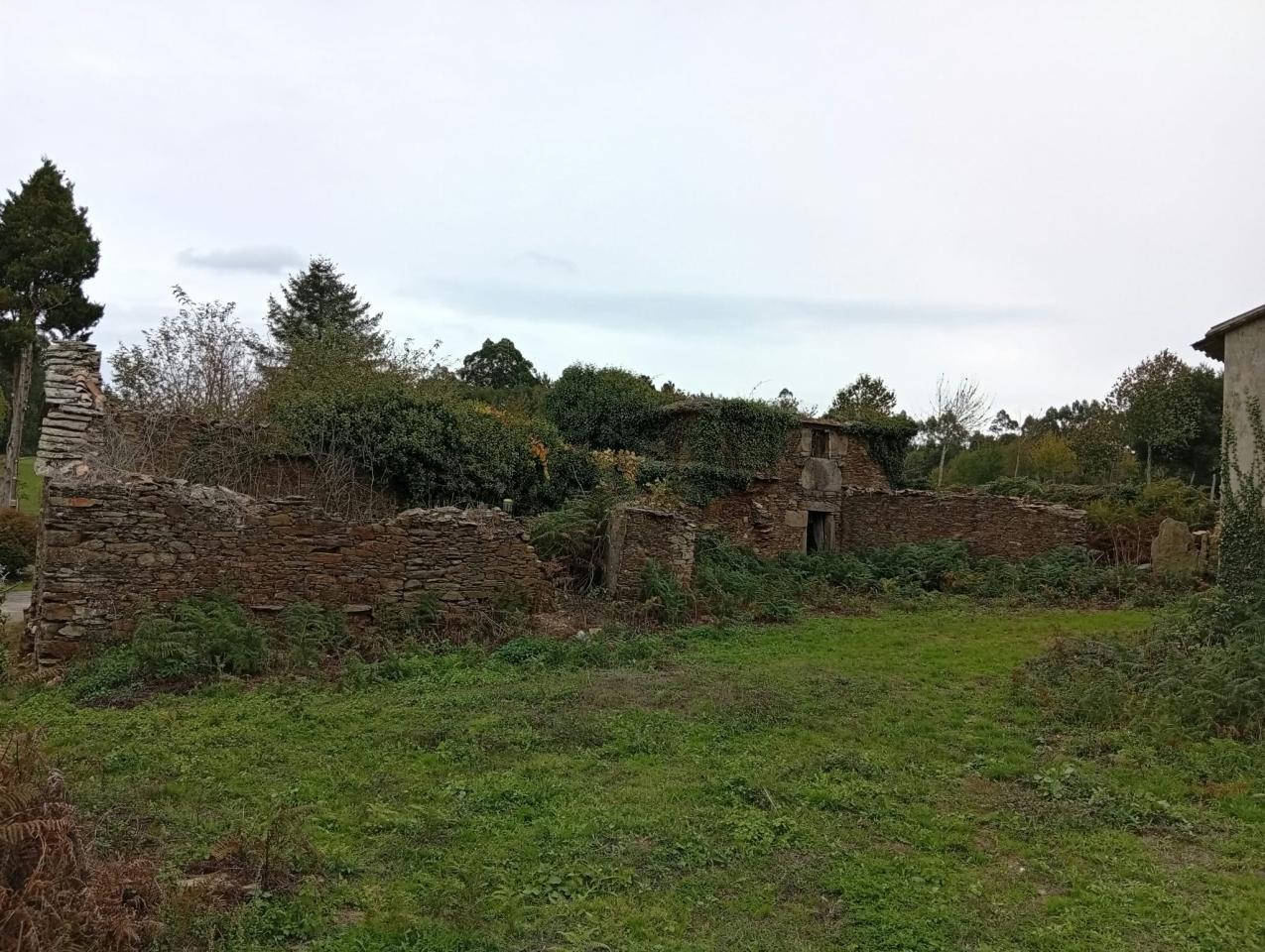 179274984120700011323_179274857304 Parcela de 12.196 m² con zona edificable en O Pino