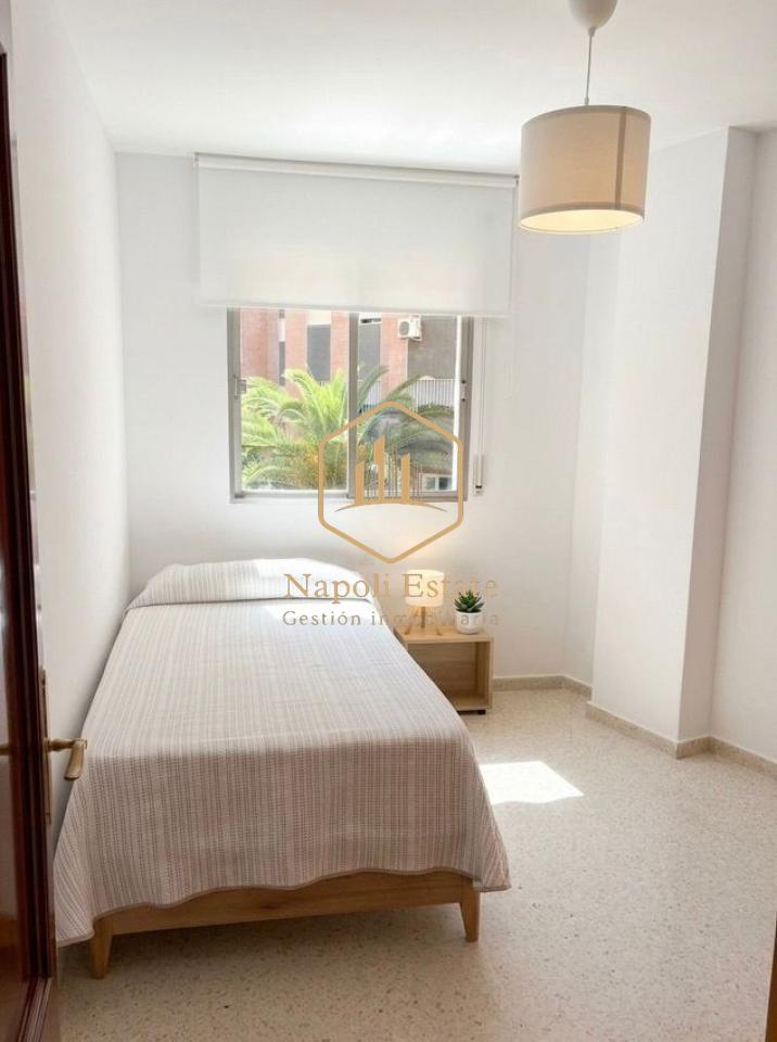 179275415555000174202_179275395040 ALQUILER DE VIVIENDA DE 3 DORMITORIOS CON GARAJE INCLUIDO EN EL CENTRO DE MÁLAGA – PERCHEL SUR