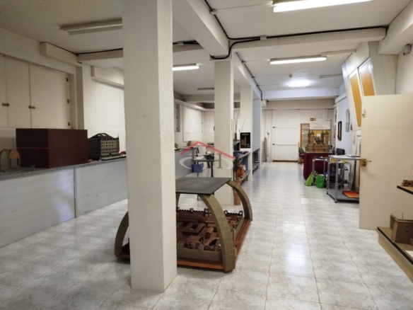 CASA CON PISCINA Y NAVES INDUSTRIALES EN SAN ANDRÉS DEL RABANEDO