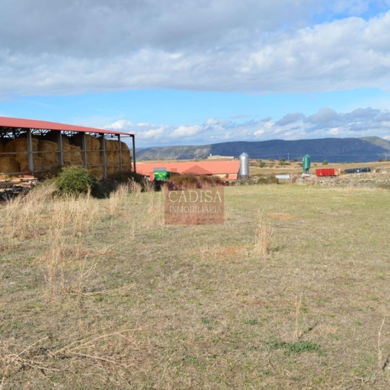 AMPLIA CASA EN HINOJOSA DE DUERO. REF 4134