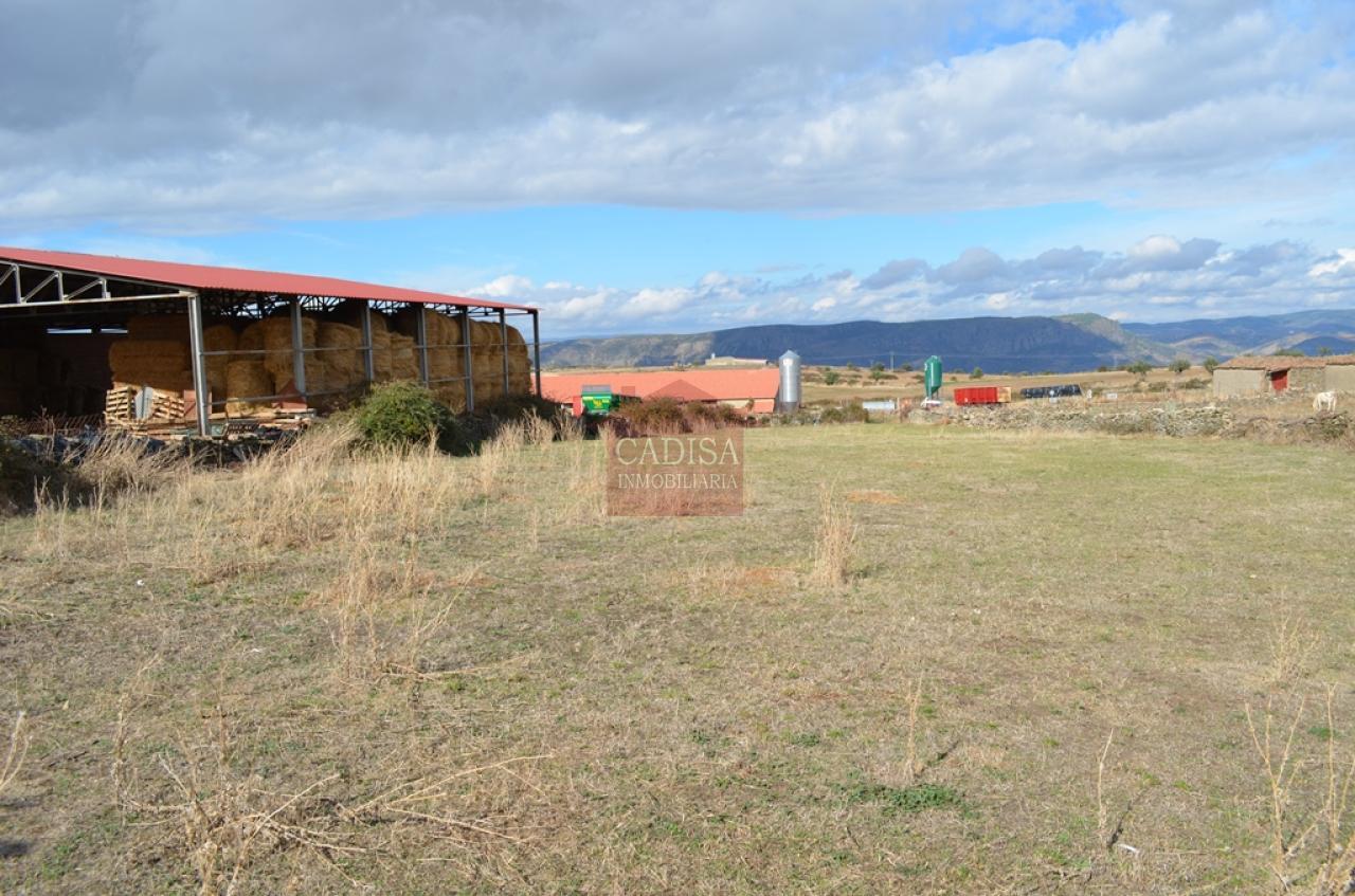 AMPLIA CASA EN HINOJOSA DE DUERO. REF 4134