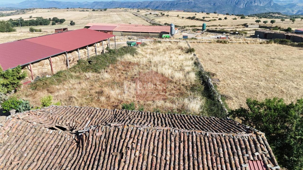 AMPLIA CASA EN HINOJOSA DE DUERO. REF 4134